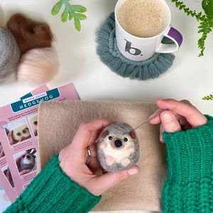 Bergin & Bath Needle Felting Kits