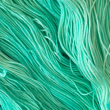 Load image into Gallery viewer, County Vacay Sock by Baa&#39;d Girl Yarns
