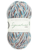 Load image into Gallery viewer, West Yorkshire Spinners WYS sock yarn
