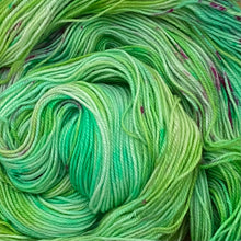 Load image into Gallery viewer, County Vacay Sock by Baa'd Girl Yarns
