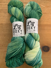 Load image into Gallery viewer, Leo &amp; Roxy Sock Yarn
