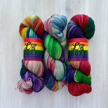 Load image into Gallery viewer, Leo &amp; Roxy Sock Yarn
