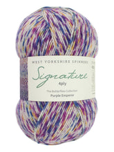 Load image into Gallery viewer, West Yorkshire Spinners WYS sock yarn
