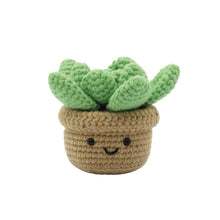 Load image into Gallery viewer, Succulent Crochet Kit
