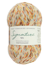 Load image into Gallery viewer, West Yorkshire Spinners WYS sock yarn
