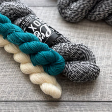 Load image into Gallery viewer, Sock Sets by Leo &amp; Roxy
