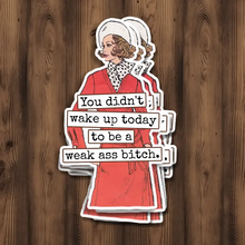 Load image into Gallery viewer, Funny Magnets &amp; Stickers Raven&#39;s Rest Studio
