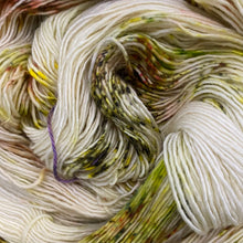 Load image into Gallery viewer, Mistress Merino by Baa&#39;d Girl Yarns
