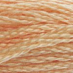 DMC Embroidery Floss - Colours 3827-3866