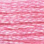 DMC Embroidery Floss - Colours 601-834