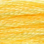 DMC Embroidery Floss - Colours 601-834