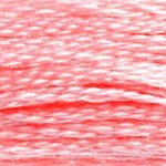 Load image into Gallery viewer, DMC Embroidery Floss - Colours 838-996
