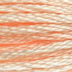 DMC Embroidery Floss - Colours 838-996