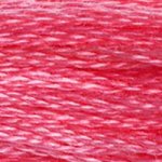 DMC Embroidery Floss - Colours 838-996
