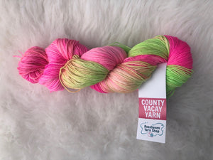 County Vacay Sock by Baaa'd Girl Yarns