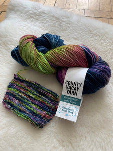 County Vacay Sock by B'aaad Girl Yarns