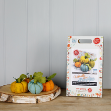 Load image into Gallery viewer, Woolly Pumpkins Needle Felting Kit
