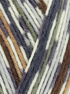 West Yorkshire Spinners WYS sock yarn